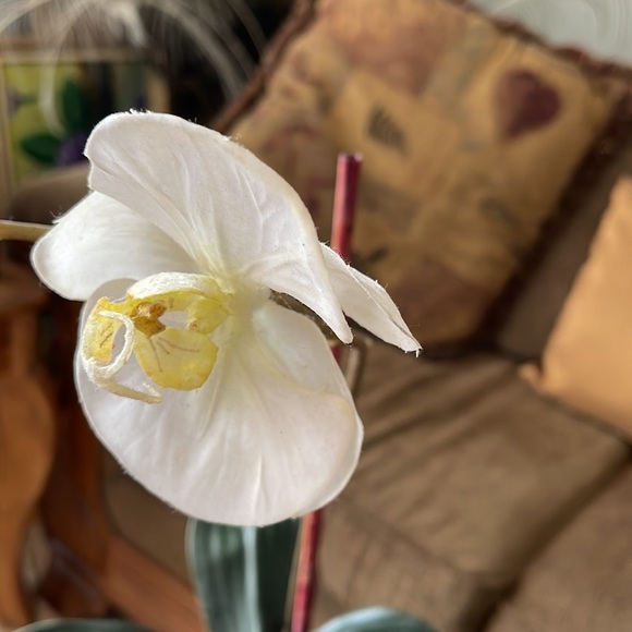 Fake flower - Picture 4 of 4